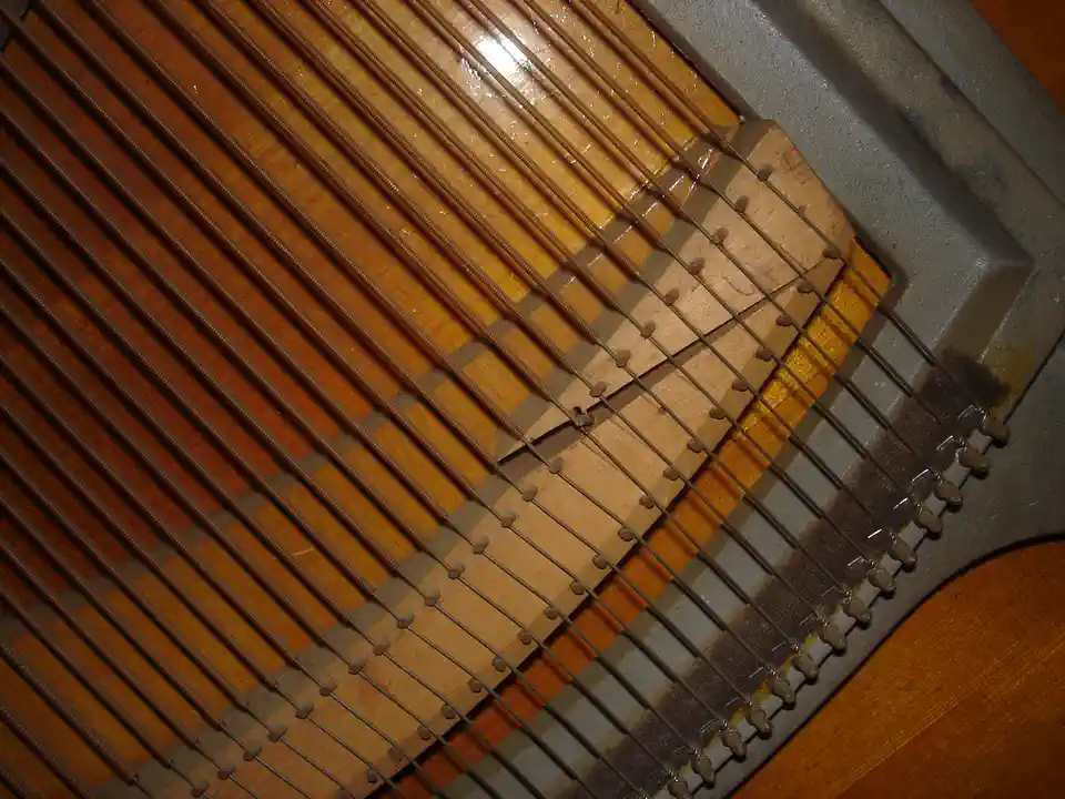 2011-09-18-05_Muziek-Instrumenten-01_Piano's _Keyboards-Bachmannbr1 (© Marens van Leunen)